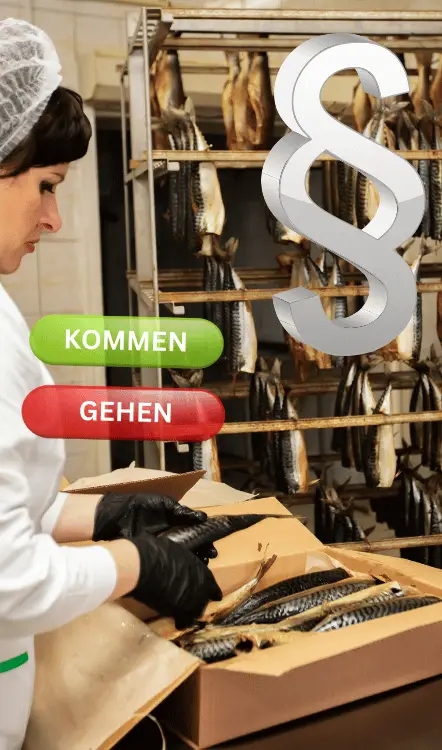 Vorschriften für Arbeitsprozesse in Betrieben