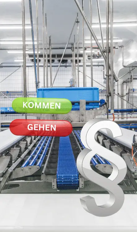 Gesetzliche Regelungen im Arbeitsalltag