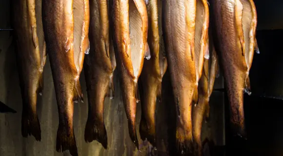 Digitale Zeiterfassung für Fischfabriken und Fischereibetriebe