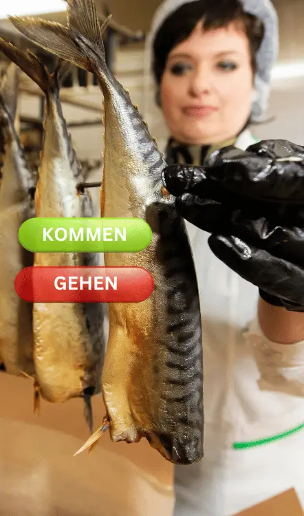 Vorteile der Zeiterfassung für Fischfabriken